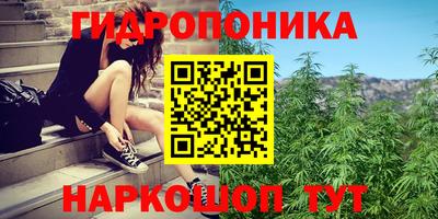 ECSTASY Кимры