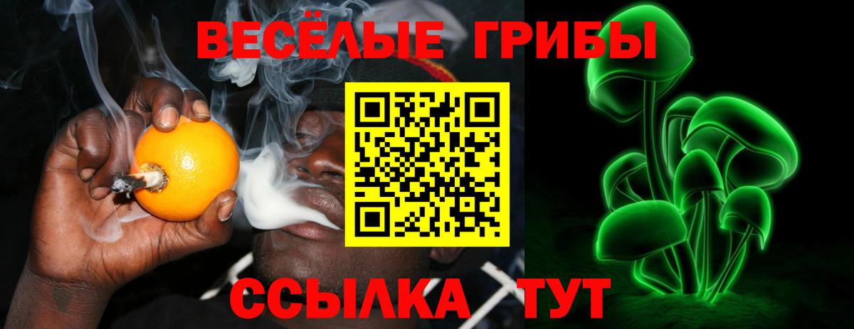 Галлюциногенные грибы Psilocybine cubensis  Галлюциногенные грибы GOLDEN TEACHER  Вход с VPN  Кудымкар 